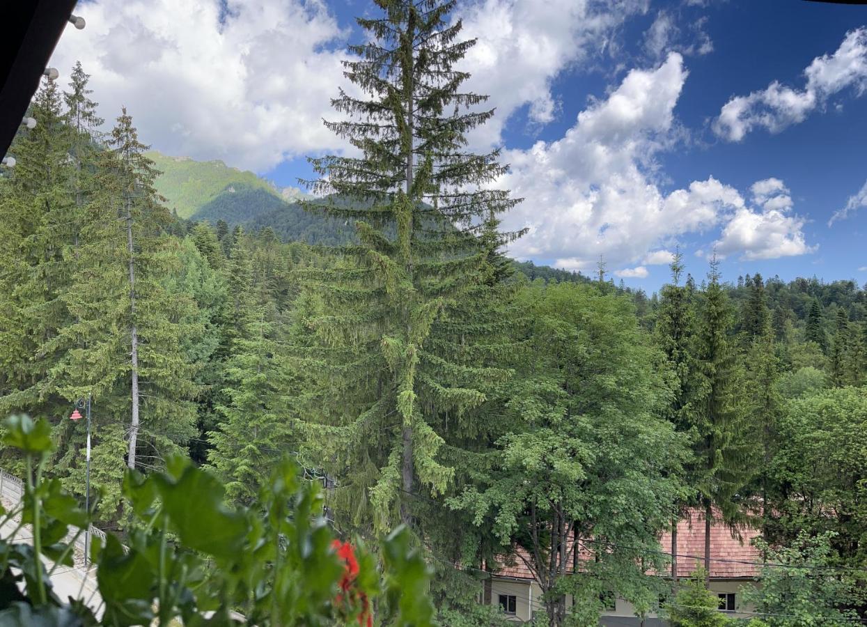 Casa Iris-Hotel & Restaurant Sinaia Exterior photo